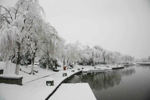 东湖雪景